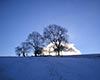 Winter Sun